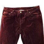 Sundance  Day & Night Burgundy Velveteen Jeans, Sz Petite 6 Photo 9