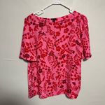 Ann Taylor  Pink and Red Patterned Blouse Photo 0