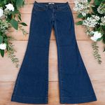 Free People  Flare Stretch Jeans Retro Country Cowgirl Rodeo Size 24 Photo 0