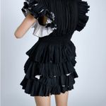 ZARA Sold Out Black Ruffle Layered Mini Skirt Photo 1
