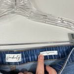 Wonderly Women's Plus Size Pull On Jegging Medium Wash Denim Skinny Jeans 18W Photo 2