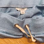 J.Crew  Blue Sweatpants Photo 2