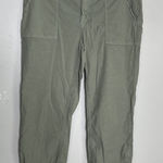Frank & Eileen  Jameson Jogger Pants Size 10 Sage Green Italian Performance Linen Photo 0