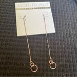 Argento Vivo  Long Chain with Open Ring Dangle Stud Earrings Photo 5