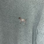 PINK - Victoria's Secret PINK by Victoria Secret teal sweatshirt with logos Photo 1