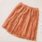 Forever 21 Vintage Vibe Mauve Lace Pleated Skirt. Size Small. Photo 0