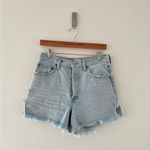 AGOLDE Dee Shorts in Muse 27 Photo 5