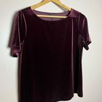 Ann Taylor CLEARANCE! Burgundy Velour S/S Top Size M Like New Photo 2