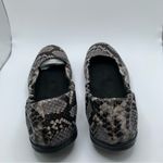 NWB SAS Women's Radiant color Mamba snake print size 6 Wide flats 1695 Photo 5