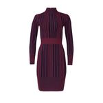 Herve Leger Hervé Léger Striped Sheath Knit Dress in Purple XSmall Womens Bodycon Photo 12