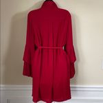 Naked Zebra  Bold Red long sleeve dress size large Photo 4