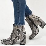 Bamboo  Vitality Snakeskin Ankle Boots Booties Black Gray 6.5 Chunky Animal Print Photo 0