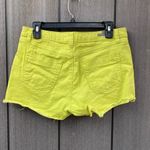 LC Lauren Conrad ‎ Denim Shorts Photo 3