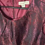 Coldwater Creek Size 4 dress Photo 2