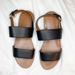 Coach  black sandals Photo 0