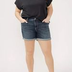 Silver Jeans  Co. Plus Size Elyse Mid Rise Comfort Fit Shorts 22W Photo 9