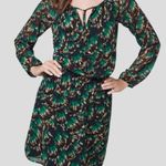 White House | Black Market EUC Blouson Dress Abstract Feather Good Shimmer Size 0 Photo 0