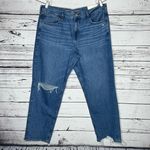 American Eagle  NWT Sz 18 34W Blue Denim Distressed ‘90s Straight High Rise Jeans Photo 0