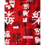 Chico's Asian Chinese Oriental Red Black Distressed Mesh Cut-Outs Button-Up Top Photo 3