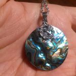 Abalone Shell Sterling Silver Dragonfly Pendant Stainless Steel Necklace Photo 12