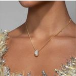 Alexis Bittar NWOT  Gold Necklace with Silver Detailing Photo 3