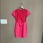 Talula Aritzia Lace Open Back Short Sleeve Bodycon Dress in Pink Size Small Photo 5
