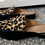 Halogen Western Corbin‎ Leopard Mules Shoes Size 8.5 Photo 0