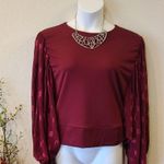 Parker & Quinn Maroon Blouse Large Photo 1