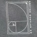 Zumiez Empyre NWT Empyre Golden Ratio Black T-Shirt size M Photo 4