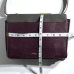Olivia + Joy Black and Burgundy Crossbody Bag bag Photo 8