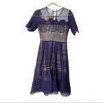 Alya NWT Francesca's Fit-n-Flare Mesh Lace Overlay Navy/Nude Dress Size XS Photo 5