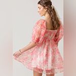 Francesca’s Claudia Floral Organza Babydoll Dress mini puff sleeve selkie pastel Red Size XS Photo 3