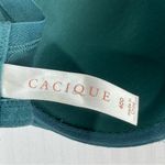 Cacique  Turquoise Lace Boost Plunge Women’s Plus Size 40D Bra Feminine Sexy Photo 3