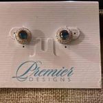 Premier Designs  Real Deal earrings Photo 2