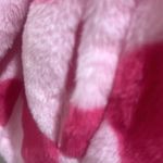 Women’s Plush Hooded Jacket Size Large Pink Hearts Photo 7