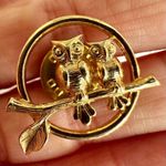 Avon Two Owls on Branch Circle gold tone pin Photo 0