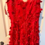 Milly  Joselyn Embroidered Midi 3D Tulle Dress | Size 6 Photo 6