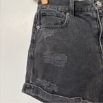 American Eagle  Distressed Mom Shorts Photo 2