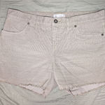 Carve Designs  Oahu Corduroy Short 4" W8 Khaki Photo 0