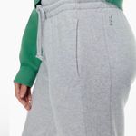 Aritzia TNA Fleece Boyfriend Sweatpants Photo 1