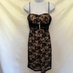 Onyx Nite  Lace Overlay Dress 4 Coquette Babydoll Y2K Bling Romantic Glam Goth Photo 15
