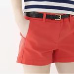 J.Crew  Red and White Striped Chino Pants Photo 1