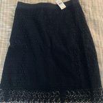 Loft  Navy Lace Mini Skirt Photo 0