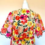One Loved Babe Tan Orange Red Yellow Pink Floral Embroidered Tulle Maxi Dress. Size undefined Photo 5
