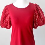Mittoshop Red Sheer Textured Puff Short-Sleeve Preppy Cute Blouse Small Photo 2