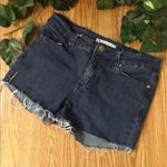 Anne Klein Vintage High Waist Frayed Hem Cutoff Blue Jean Denim Shorts 6 Photo 0