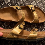 Birkenstock Snake Skin Birkenstocks Photo 0