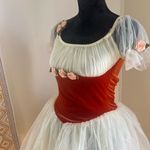 Small Tulle Costume Dress Photo 1
