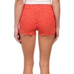 Free People New  Lace Shorts Size 2 Photo 2
