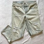 American Eagle Outfitters Boy Crop Jeans Photo 1